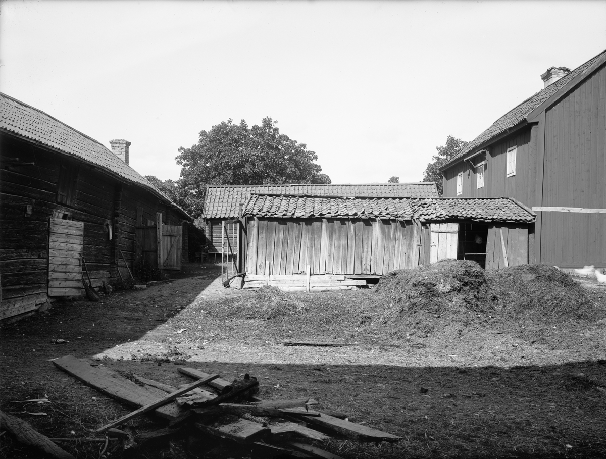 Paul Sandberg, Fägård - Pettersson, Altuna, Börje socken, Uppland, sannolikt 1920-tal