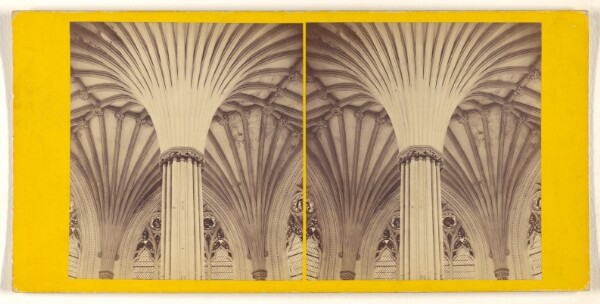 George Washington Wilson, Wells Cathedral - Roof of the Chapter House.