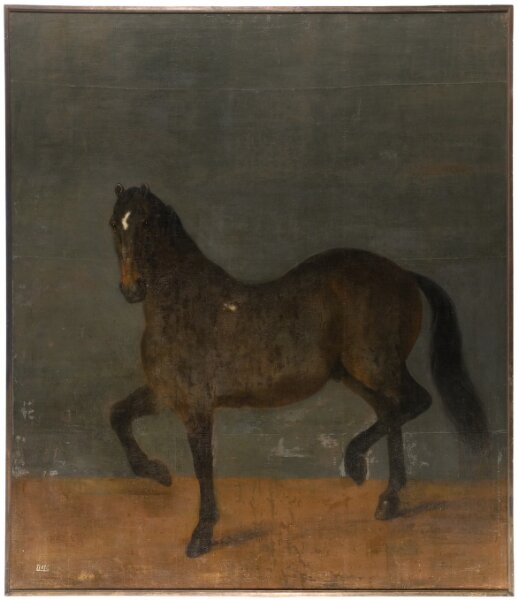 David Klöcker Ehrenstrahl (Attributed to), Häst kallad Brandklipparen