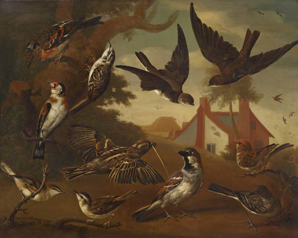 Charles Collins, British Birds: Brambling, Tree Creeper, Sand Martins, Goldfinch, a Pair of House Sparrows, a Pair of Sedge Warblers, and a Wagtail