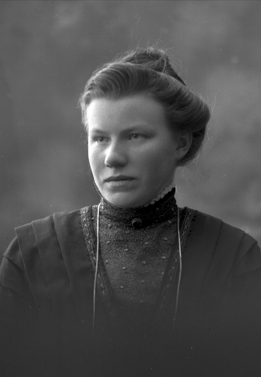 Gustav Borgen, NFB.45545