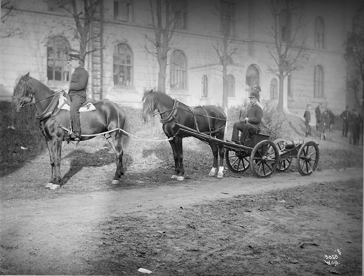 Anders Beer Wilse, Prot: Heste forspendt Kanon