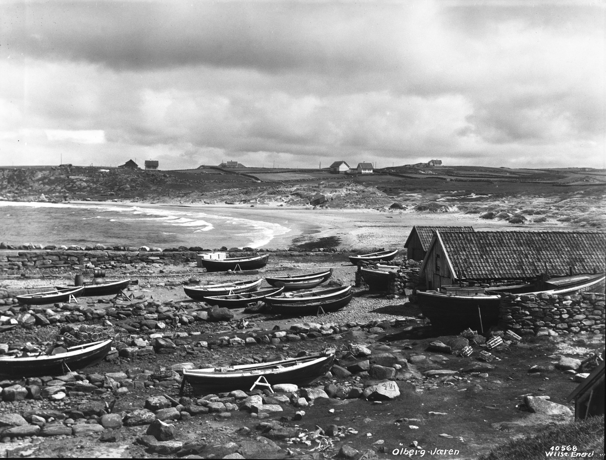 Anders Beer Wilse, Prot: Ølberg