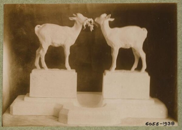 unknown, Photograph