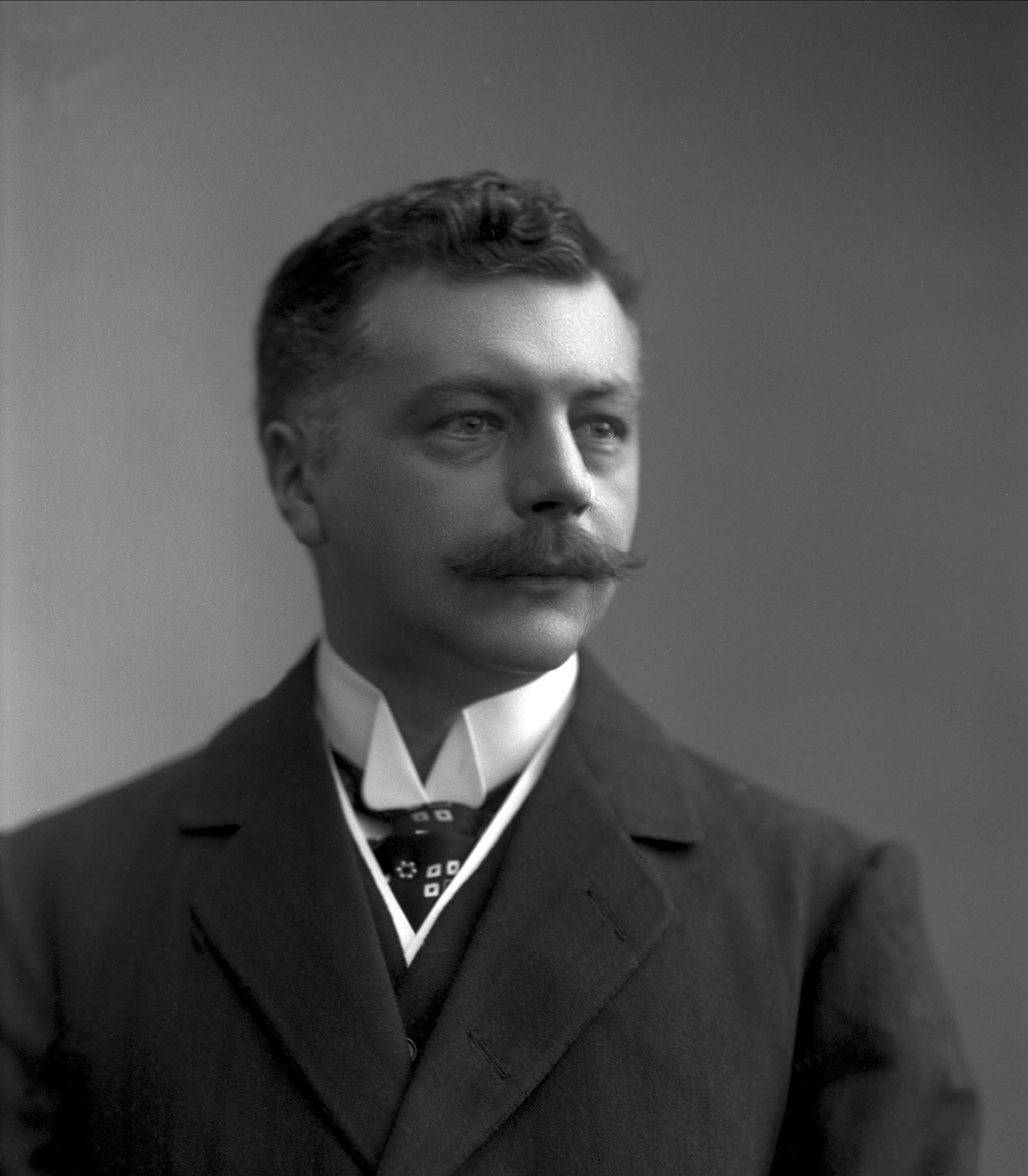 Gustav Borgen, Portrett, Nils Westergaard (1881-?).