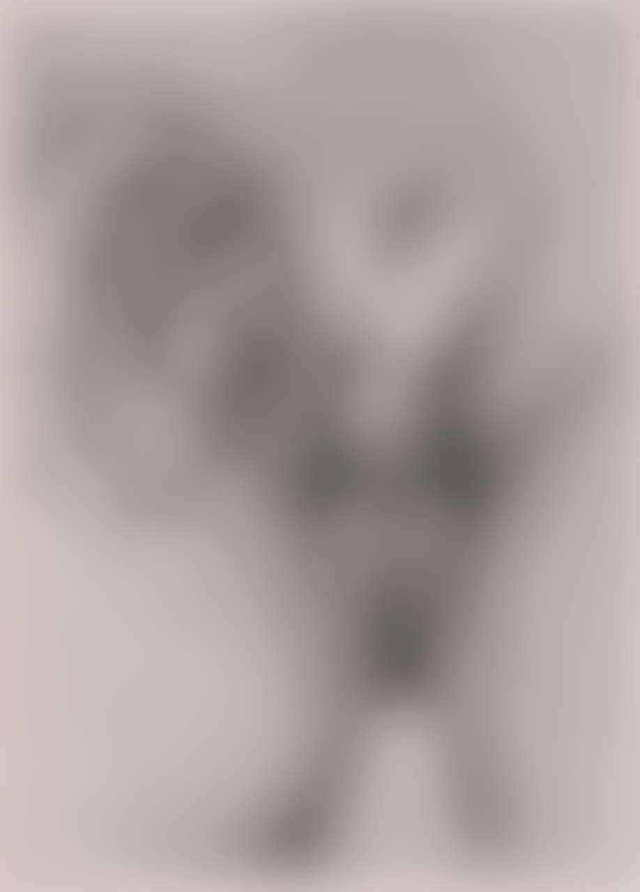 Unknown artist, Abbildung eines Genitals einer intergeschlechtlich geborenen Person