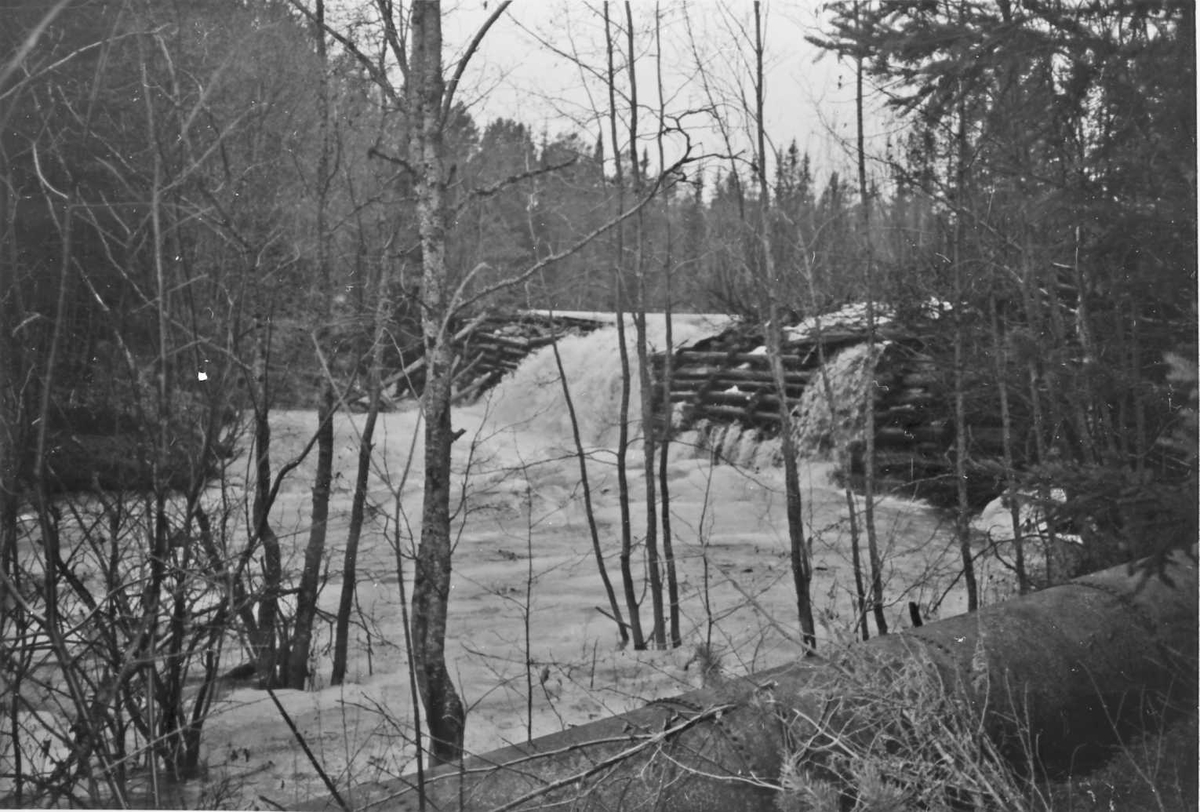 Rachel Haarseth, Dam (kraft), naturforhold.
