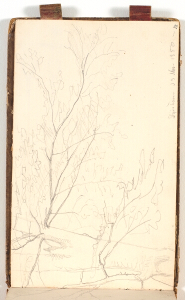 P.C. Skovgaard, Træstudie