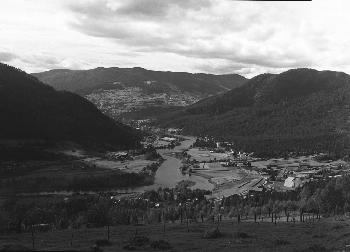 Anders Beer Wilse, Prot: Hallingdal