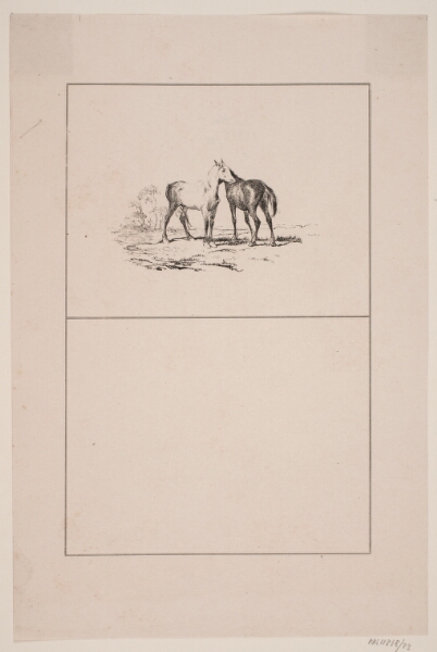 Adolph Kittendorff, De to heste