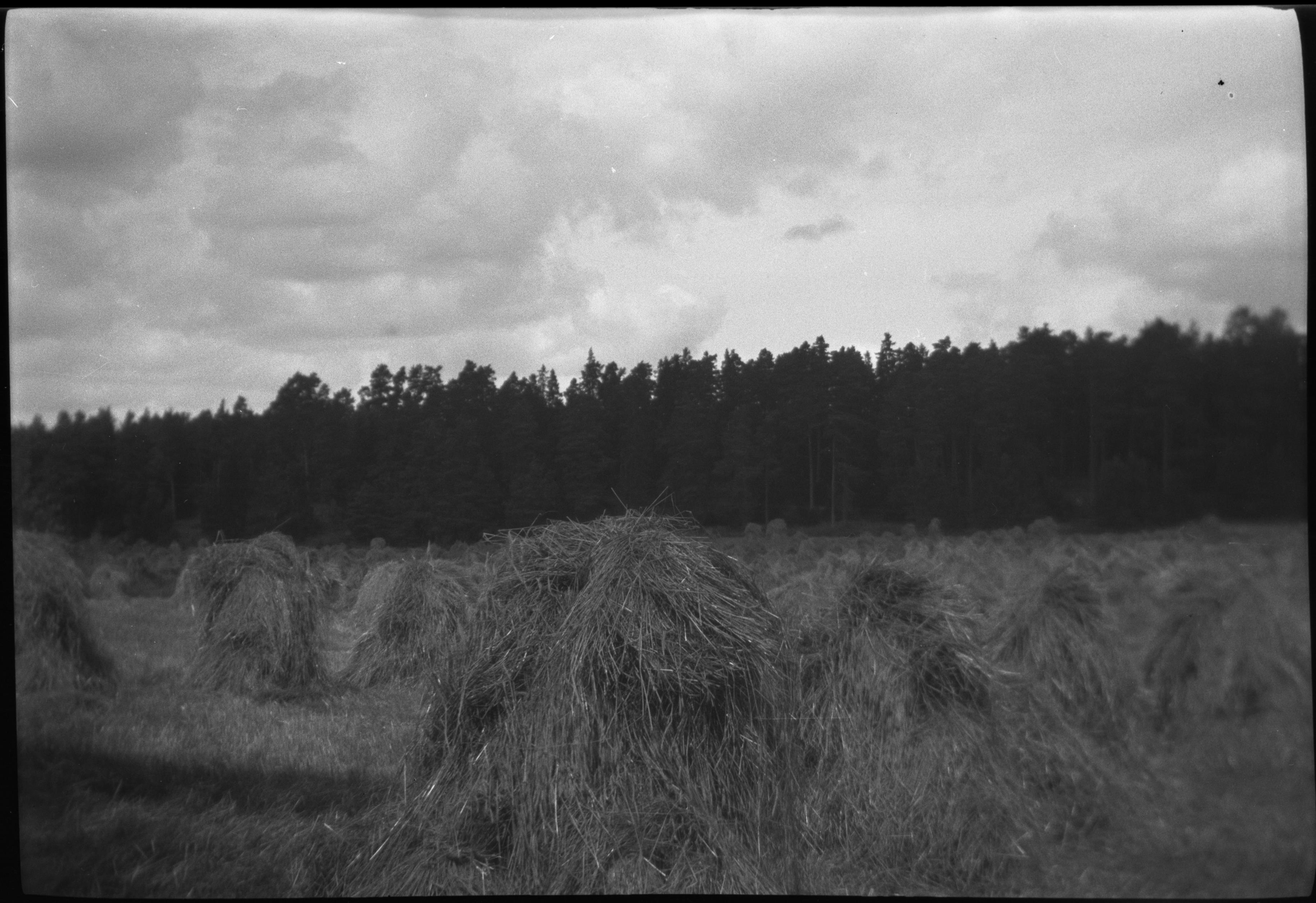 Berit Wallenberg, Damtorp
