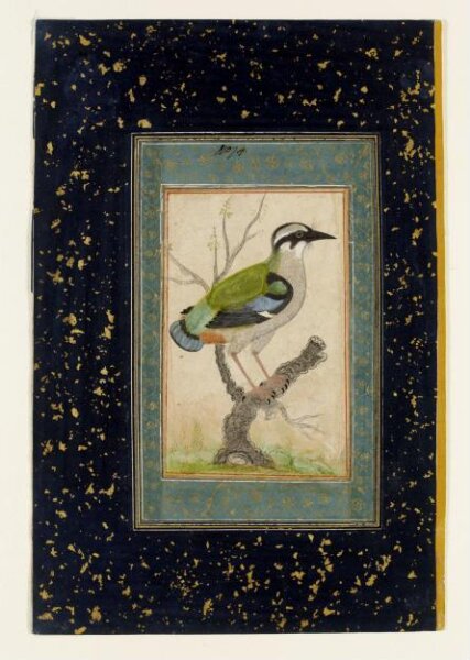 Unknown, Painting