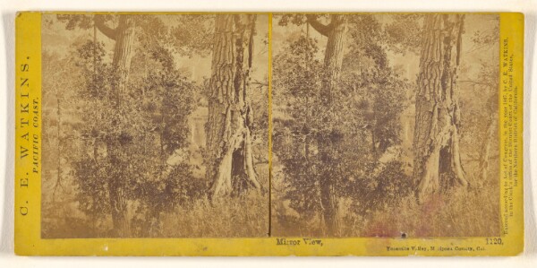 Carleton Watkins, Mirror View, Yosemite Valley, Mariposa County, Cal.