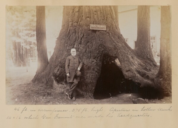 Unknown, [General John Charles Fremont, Big Trees Park, Santa Cruz]
