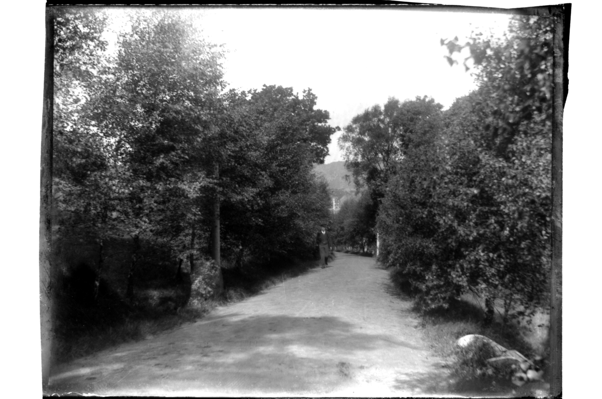 Rolf Sr. Sundt, NF.34664-988