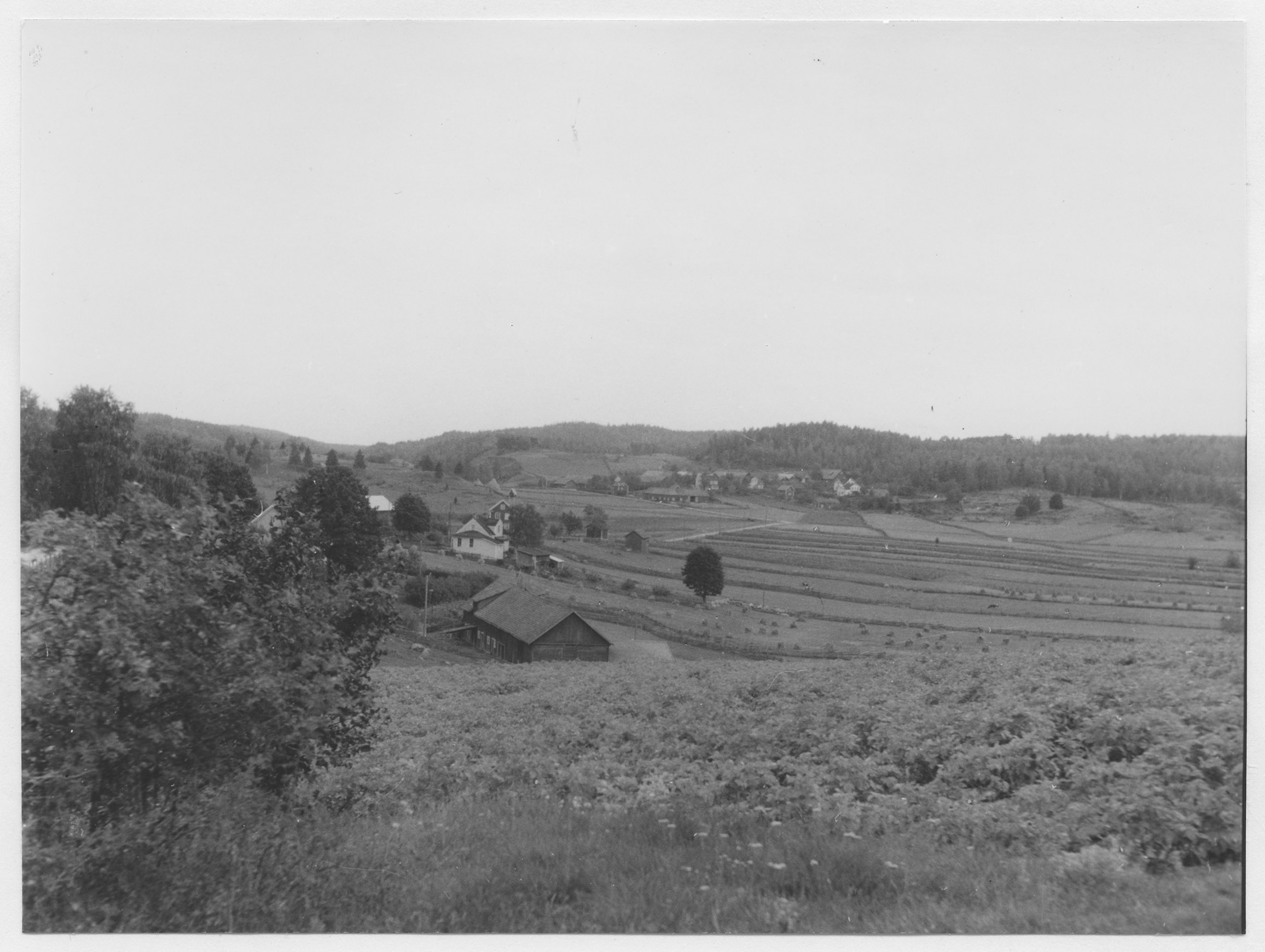 Mårten Sjöbeck, Djursdala-dalen