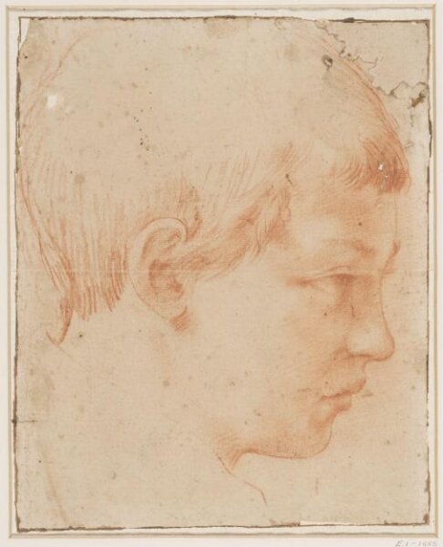 Unknown, Head of a boy