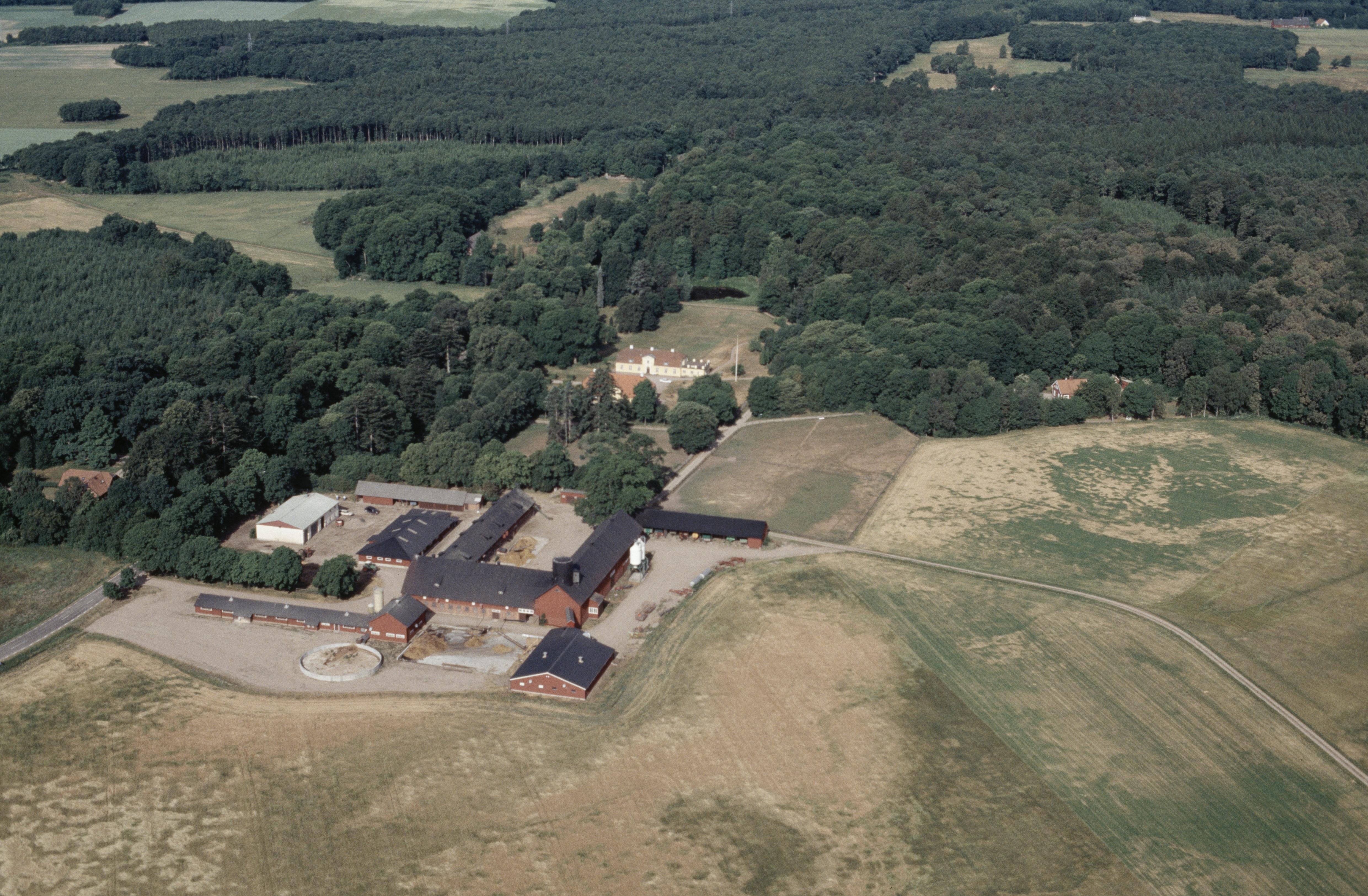Jan Norrman, Stjärnarp