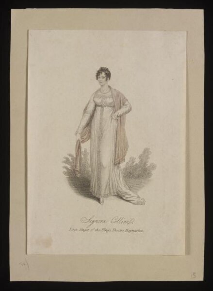 unknown, Signora Collini