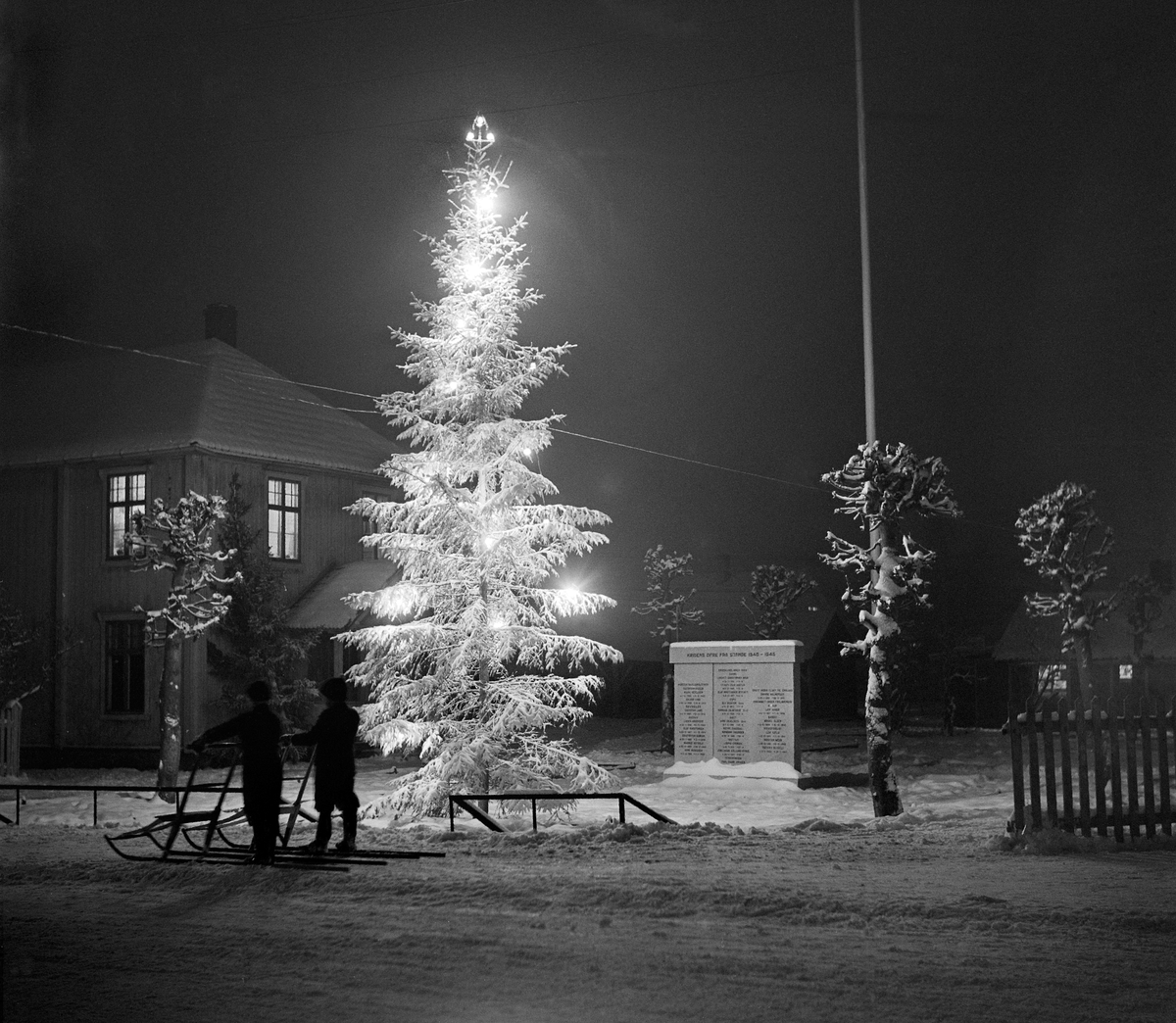 Anno Domkirkeodden, JULEGRAN, MONUMENTPLASSENN, VINTER,