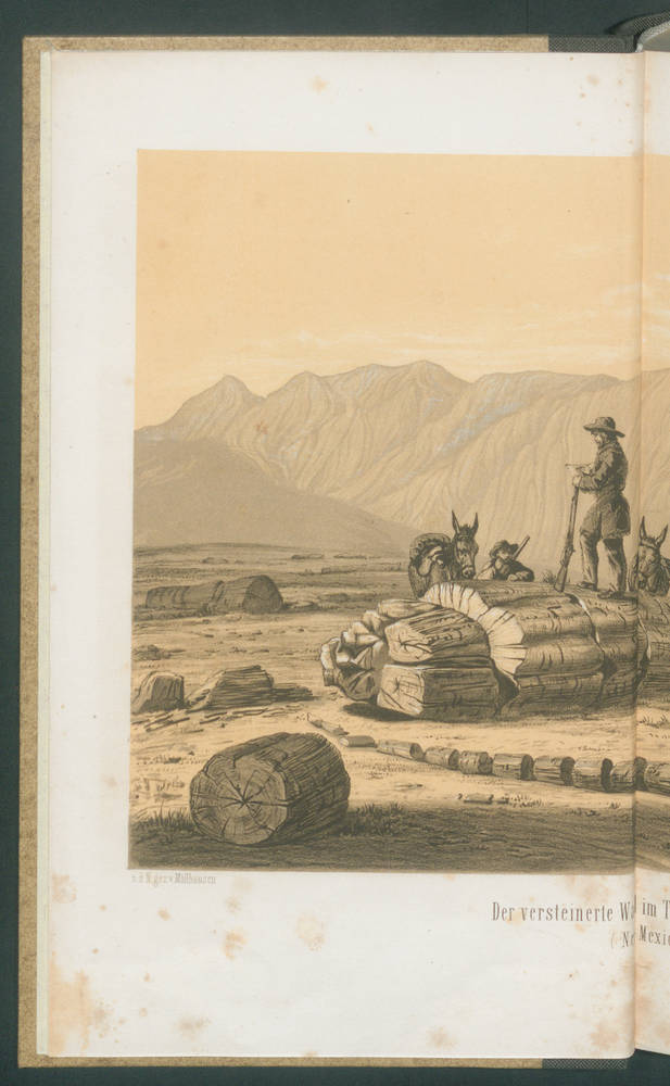 van Someren (Hersteller), Reis van den Mississippi... 2. D.