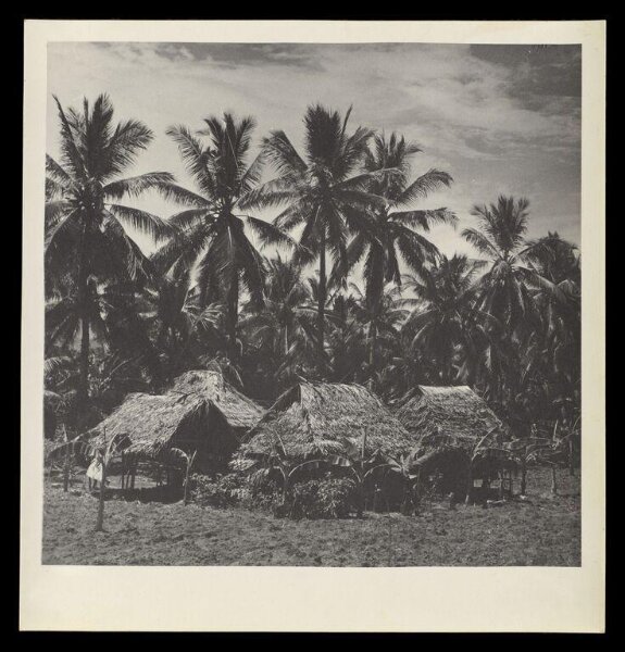 Hardy, Bert, Landscape, Bali