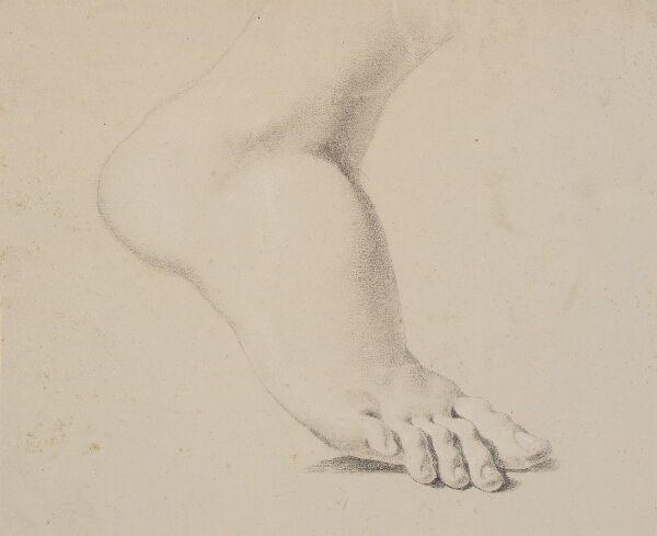 Nicolai Abildgaard, Studie af en fod