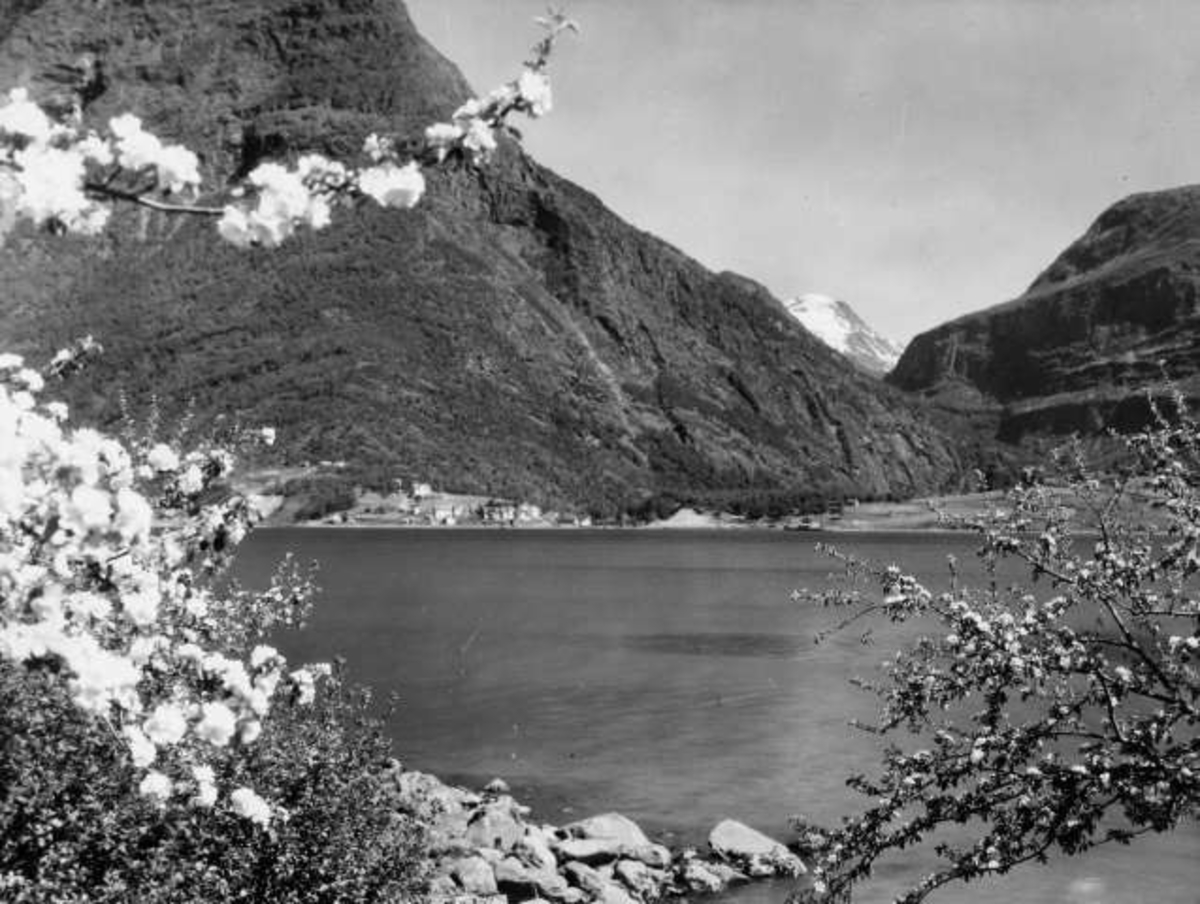 Anders Beer Wilse, -7217