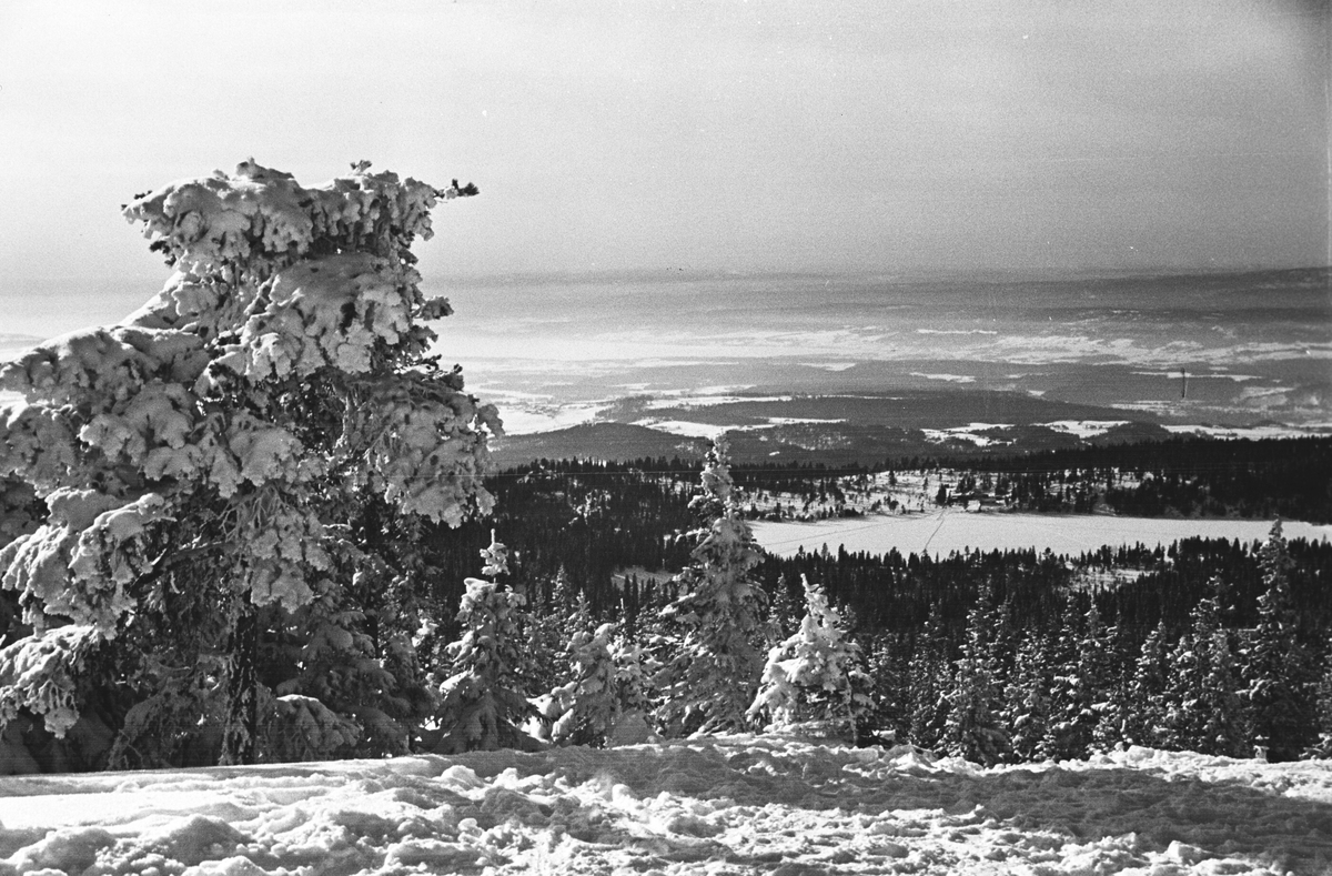 Anders Beer Wilse, Prot: Ringkollen utsikten mot Haugsbygda