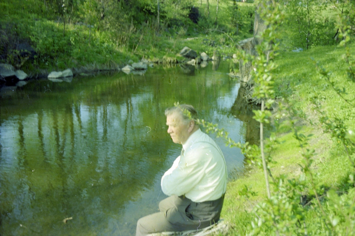 Adolf Skjegstad, ASK-04714