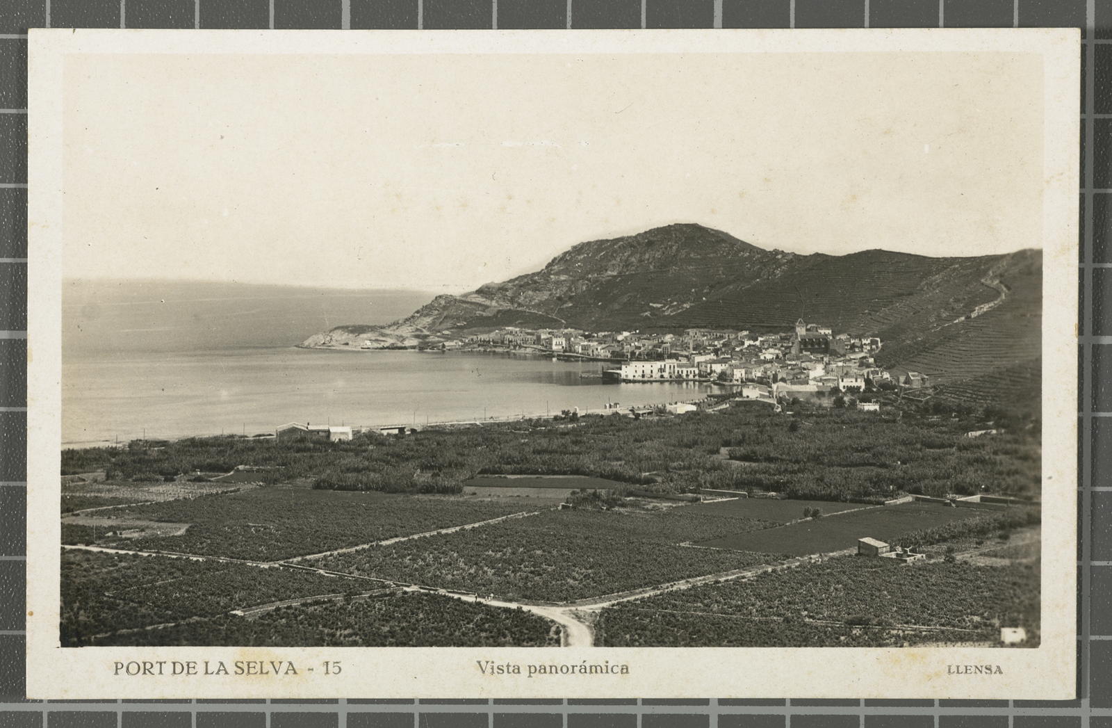 Desconegut, Forest Port - 15. Panoramic view