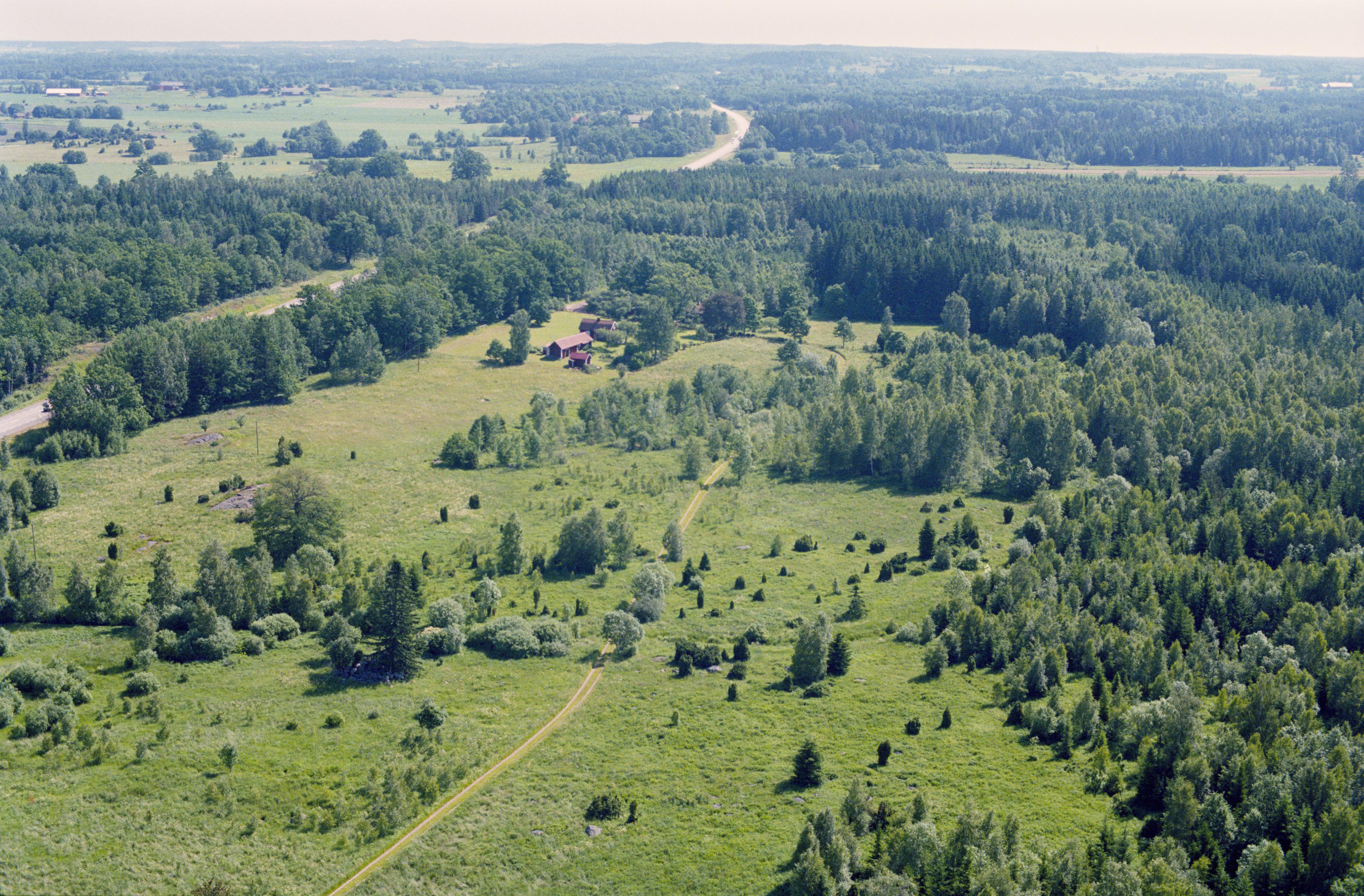 Jan Norrman, Väderstad 219:1