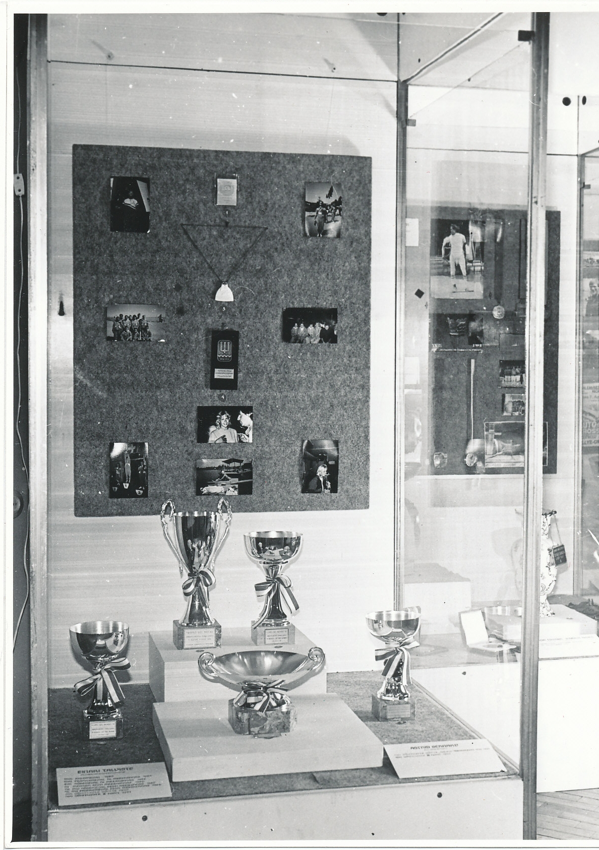 Aldo (author) Bones, Exhibition “Sports Year 1991” at ESM