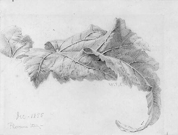 William Trost Richards, Leaves