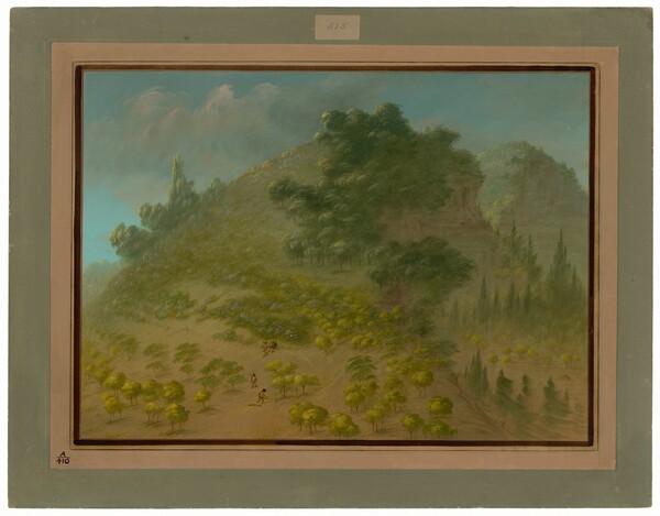 George Catlin, Rhododendron Mountain