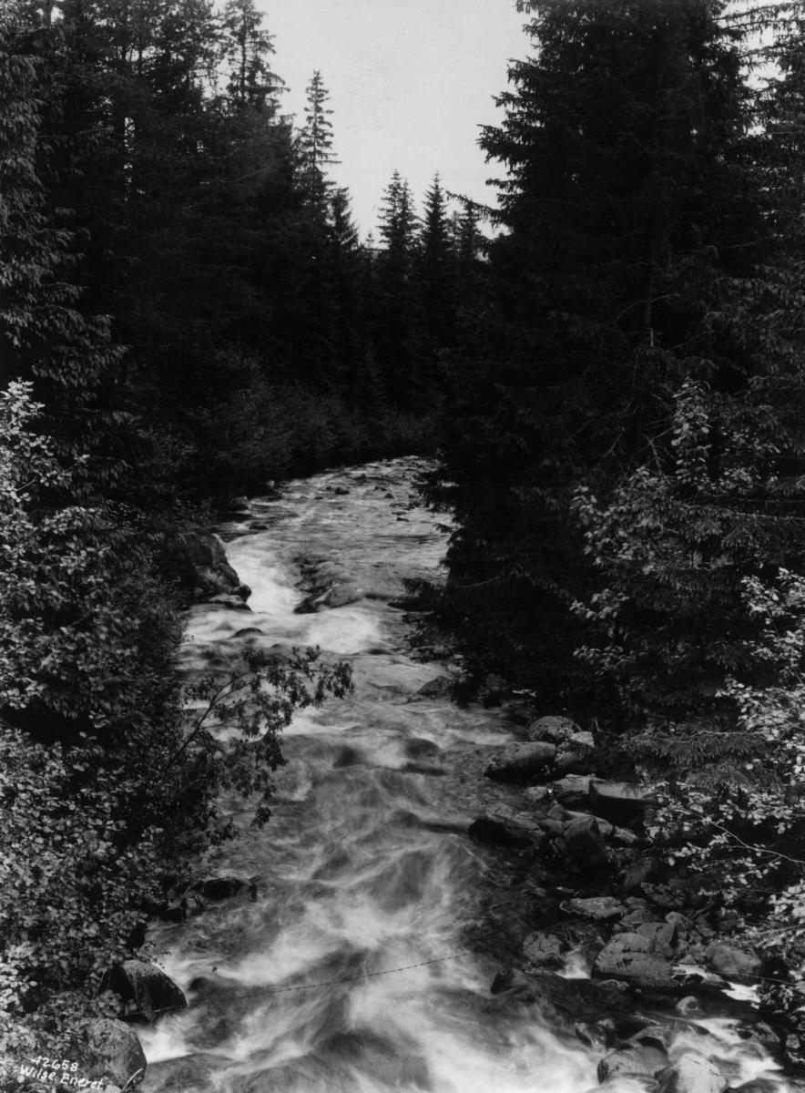 Anders Beer Wilse, Landskap, Elv, Rendalen