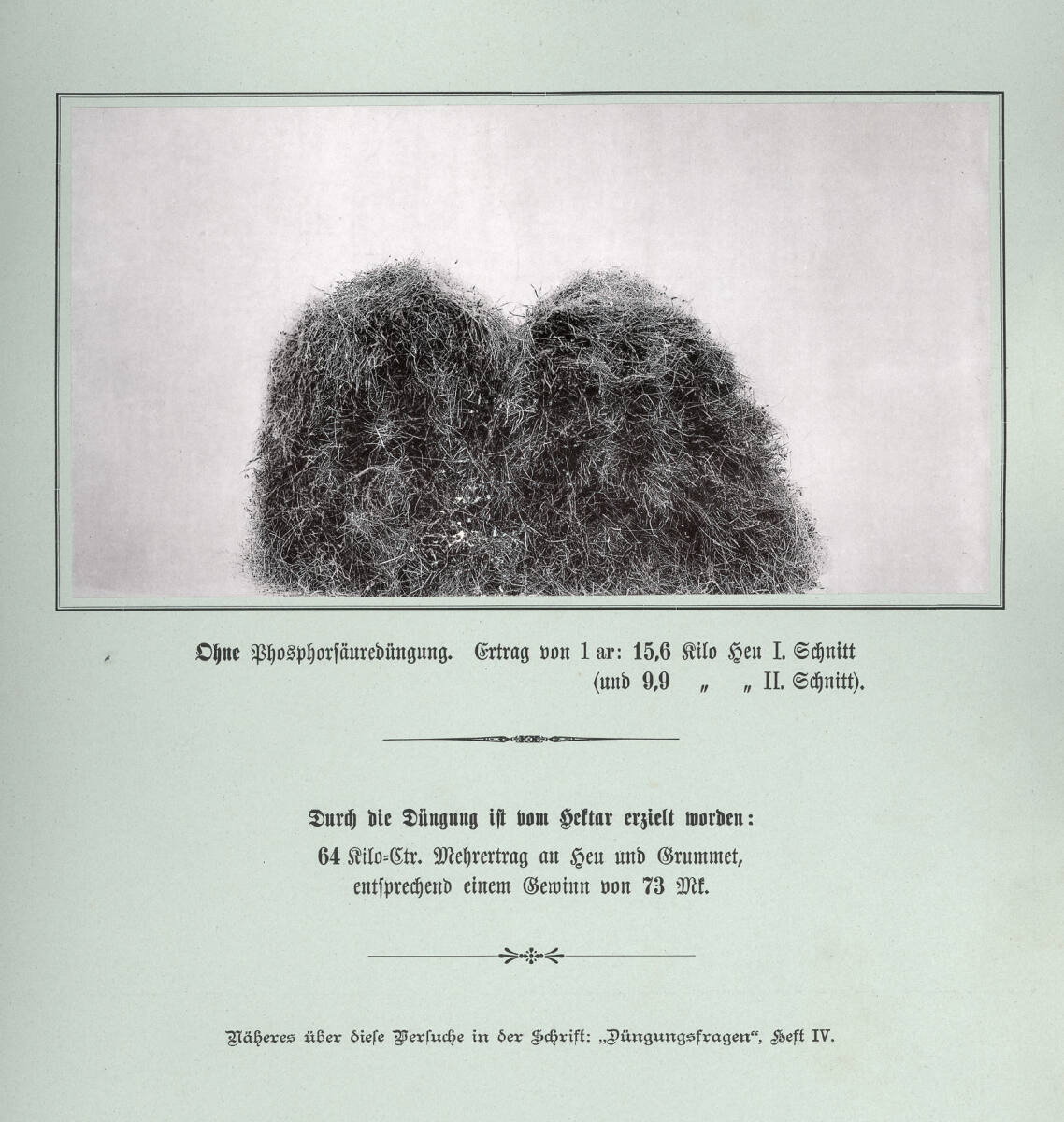 Anonym, Tafel 6. - Wiesendüngungsversuche in Hüttenfeld-Seehof. Ohne Phosphorsäuredüngung