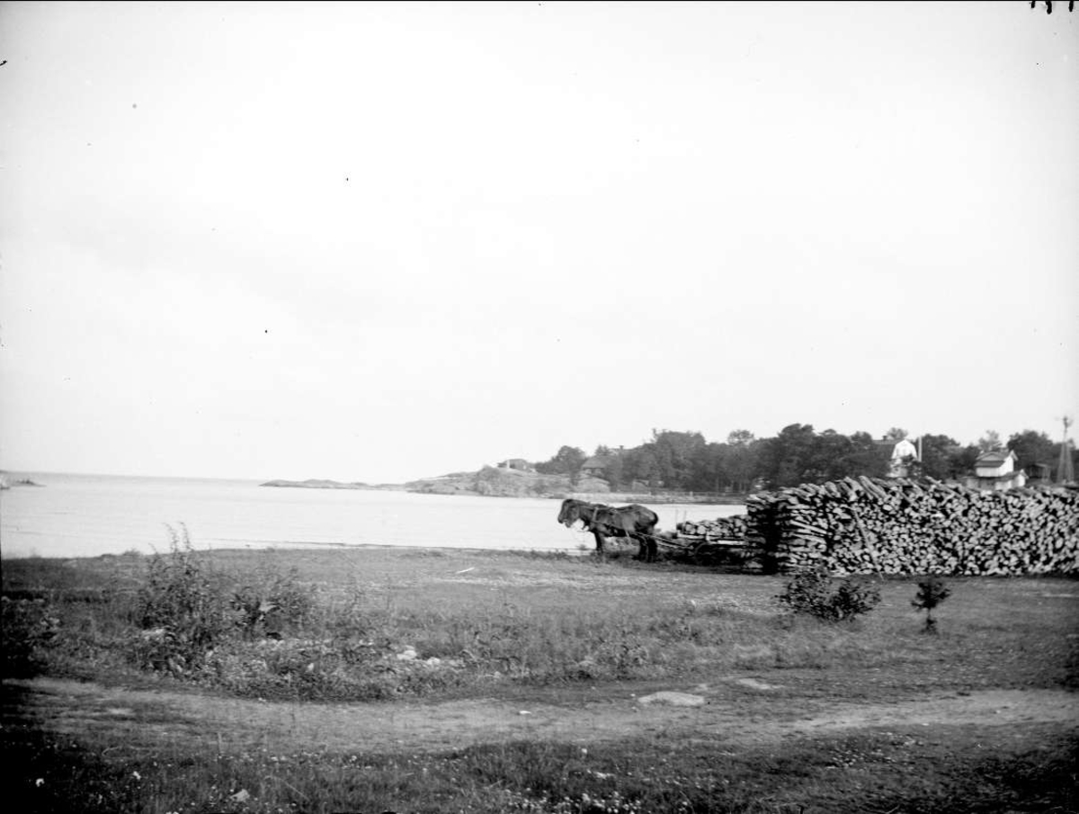 August Fredrik Schagerström, Hästar vid vedstapel, Grisslehamn, Väddö socken, Uppland 1915