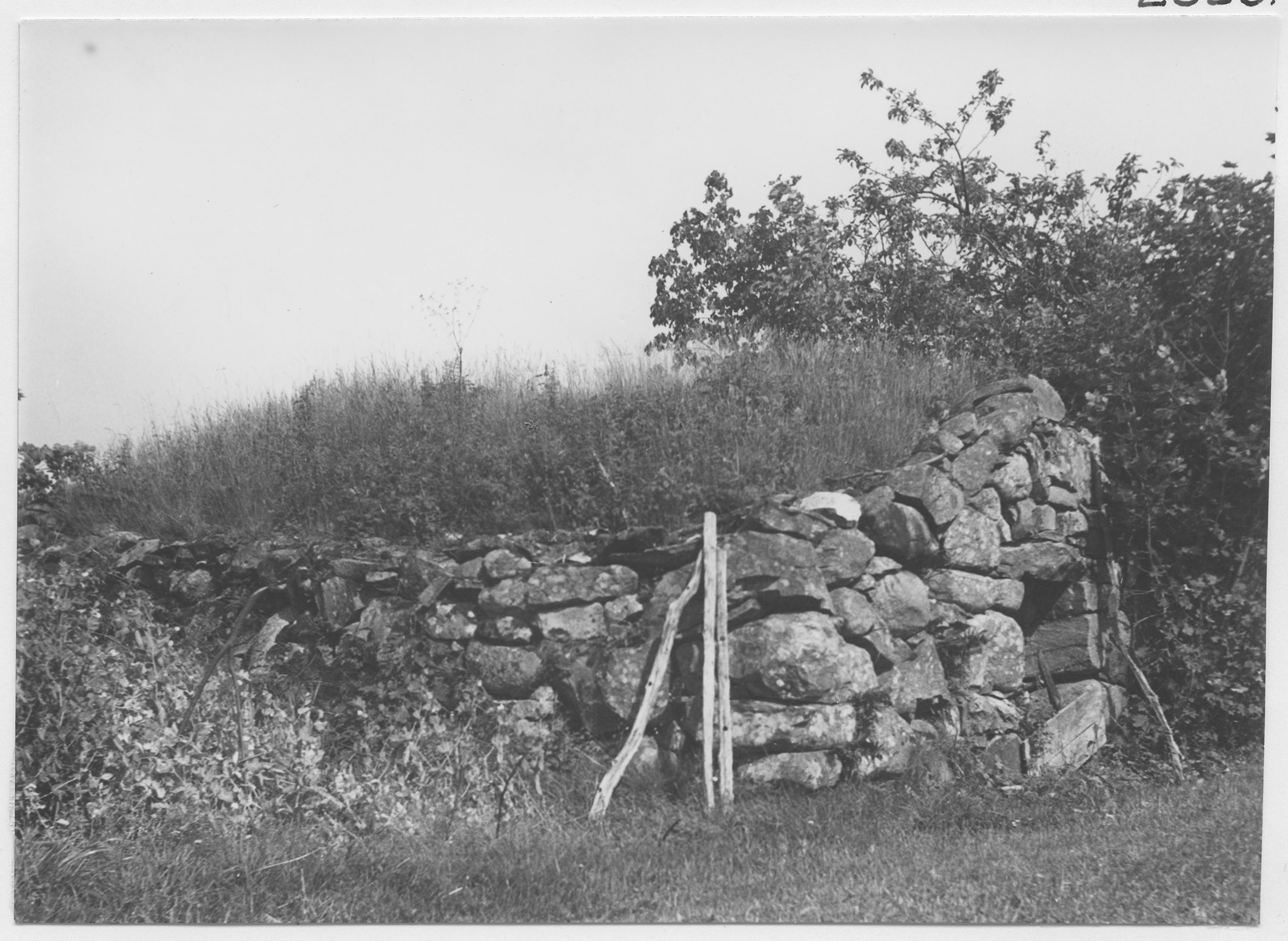 Mårten Sjöbeck, Kläcklinge