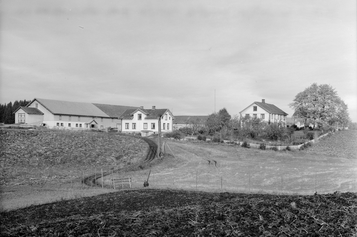 Anno Domkirkeodden, EKSTR: GARDSTUN, KVÆSTAD ØDE, LØTEN. Se Løtenboka, bind 1. Bygdeboka fra 1949, side 646