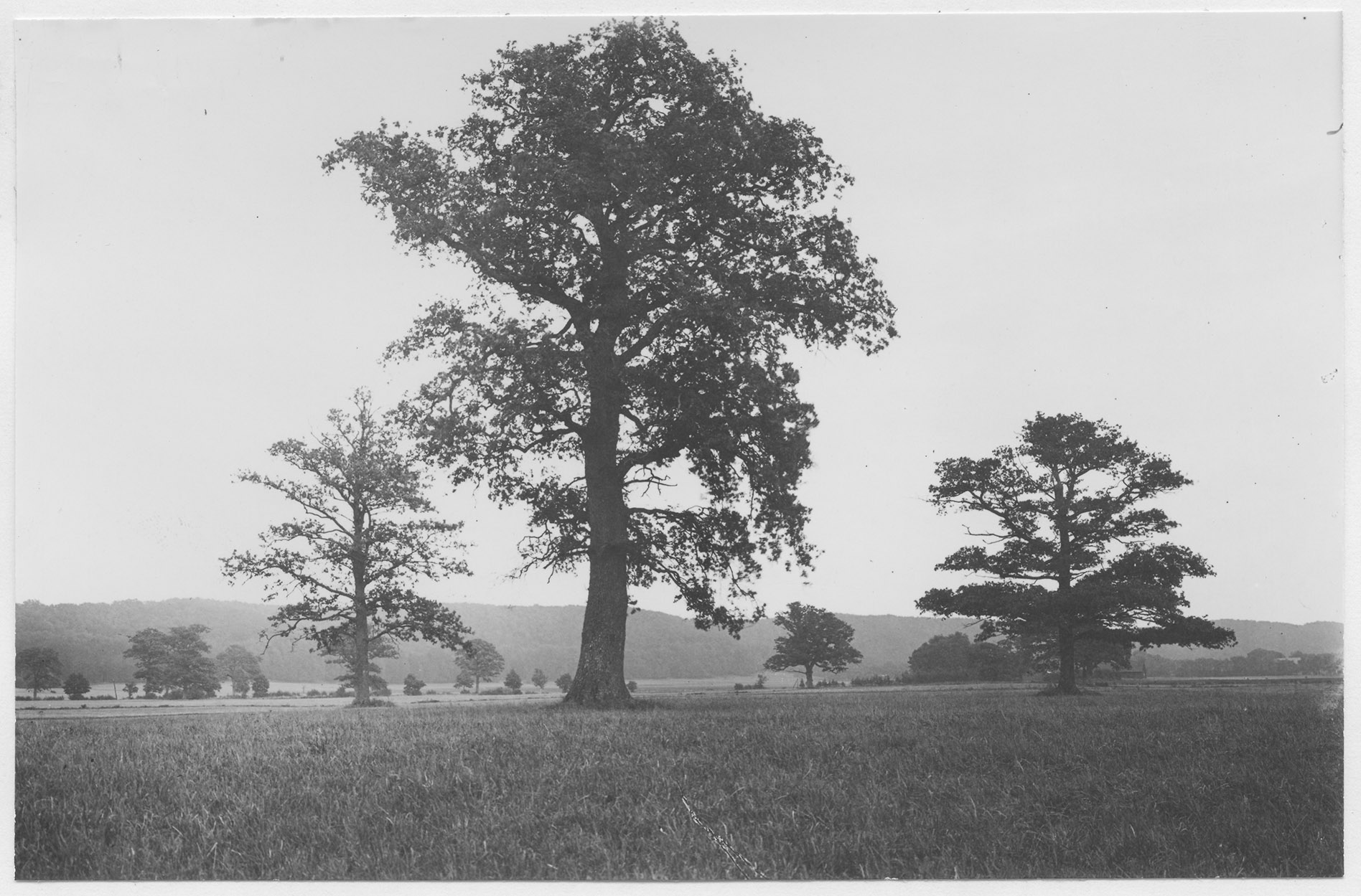 Mårten Sjöbeck, Sövdeborg