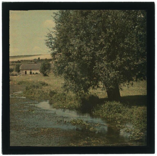 Unknown, Landscape study