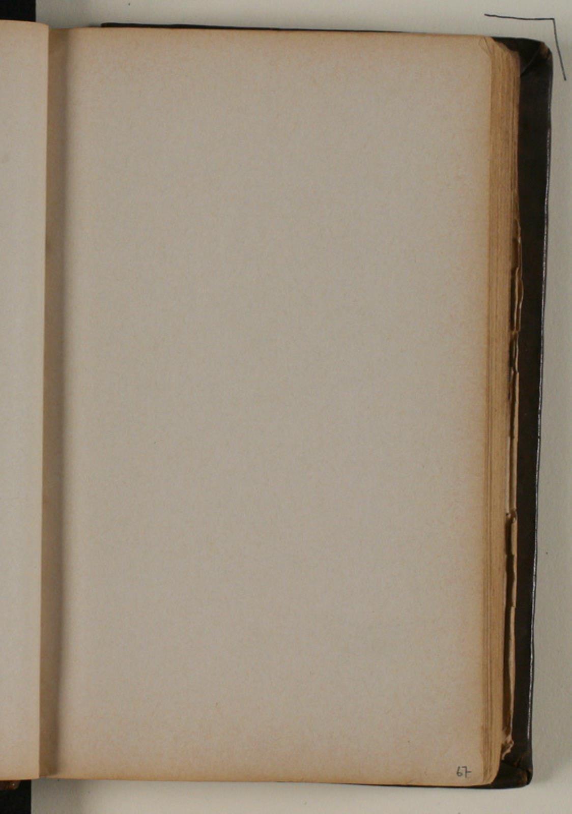 Niels Larsen Stevns, Blank