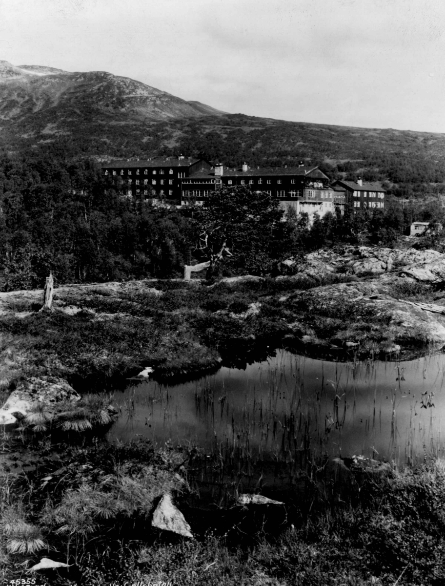 Anders Beer Wilse, Hovden Hoyfjellshotell.