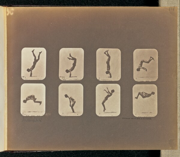 Eadweard J. Muybridge, Incomplete