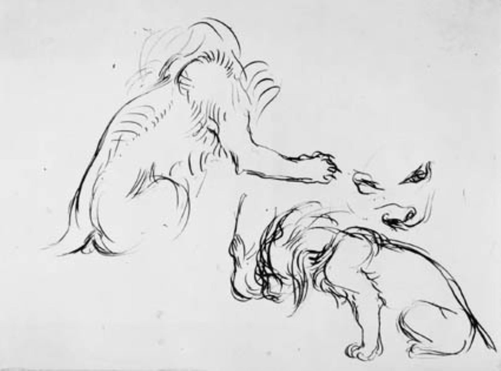 Eugène Delacroix, Studier af en løve