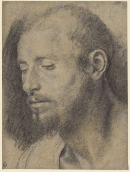 Giovanni Girolamo Savoldo, Study of the Head of a Bearded Man