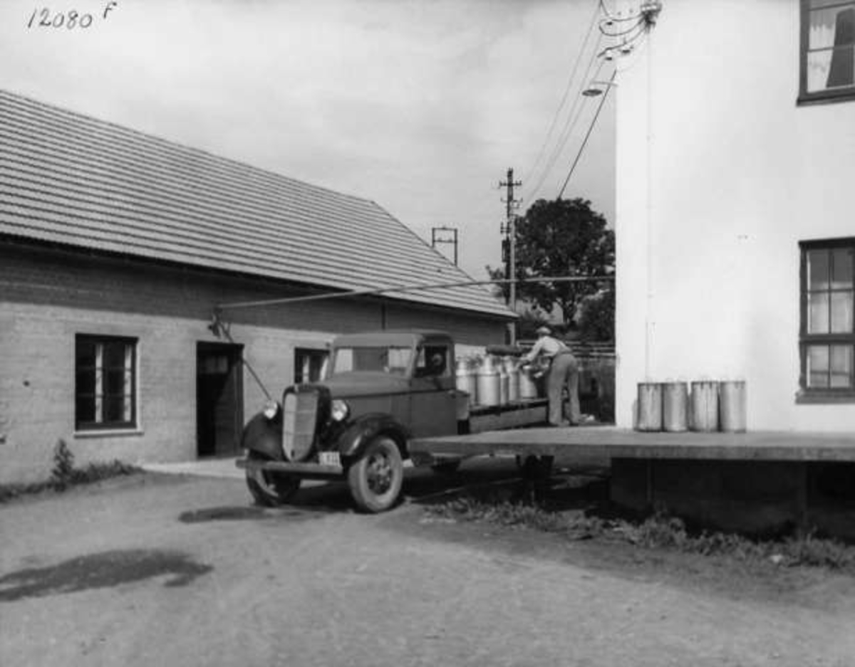 Anders Beer Wilse, Lastebil av typen Ford V8 1936. Lasting eller eller lossing melkespann.
