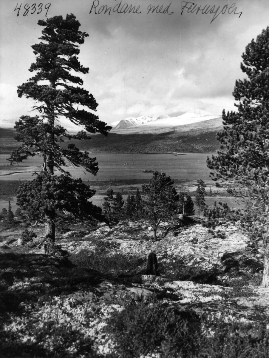 Anders Beer Wilse, Rondane, Furusjoen, Landskap