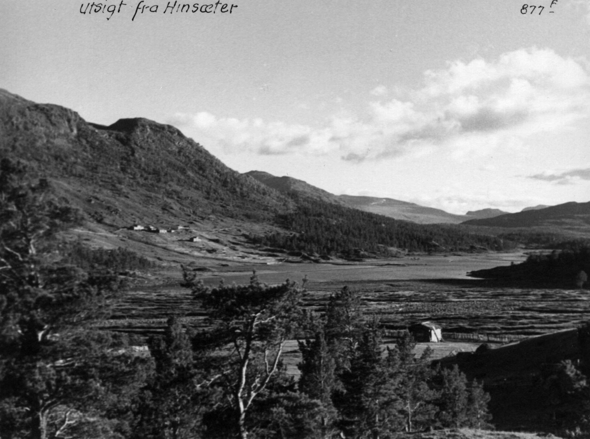 Anders Beer Wilse, Jotunheimen, Utsikt fra Hindsæter, Sjodalen